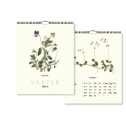 Kalender Växter 2024